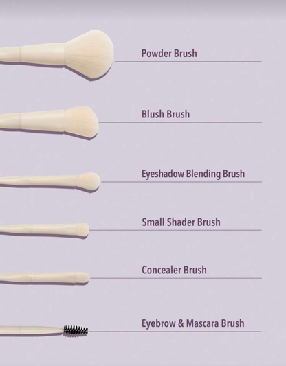 SHEGLAM Pro Core Brush Kit - 6 pcs